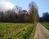 Forsthaus Breitenbrunn Große Anzahl aktueller Bauernhäuser, Bauernhöfe, Reiterhöfe, alte Mühlen - hier finden auch Sie IHR Bauernhaus, Bauernhof, Reiterhof oder alte Mühle!